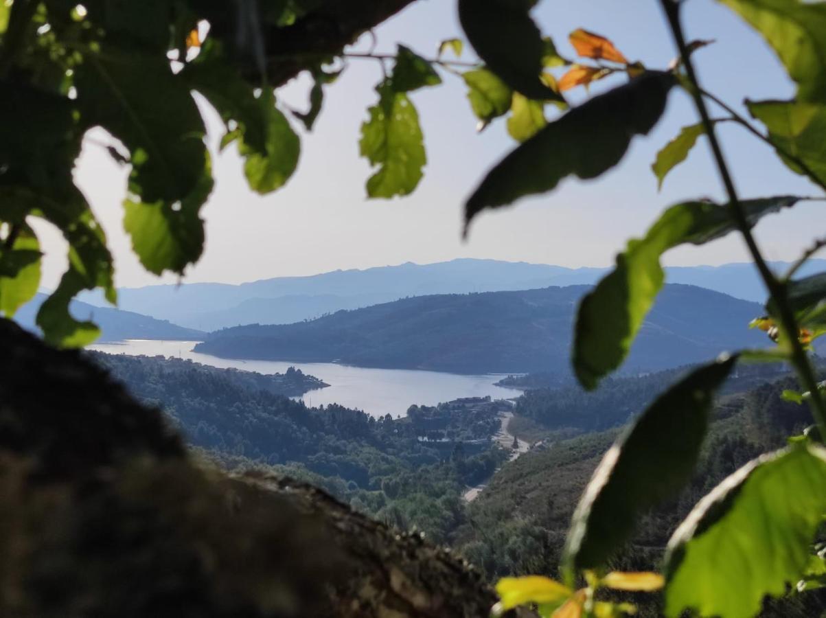 Vivenda Das Carvalhas Amiar Esterno foto